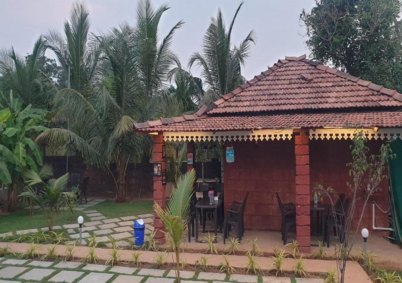 White Truffle Resort, Arambol Eksteriør billede