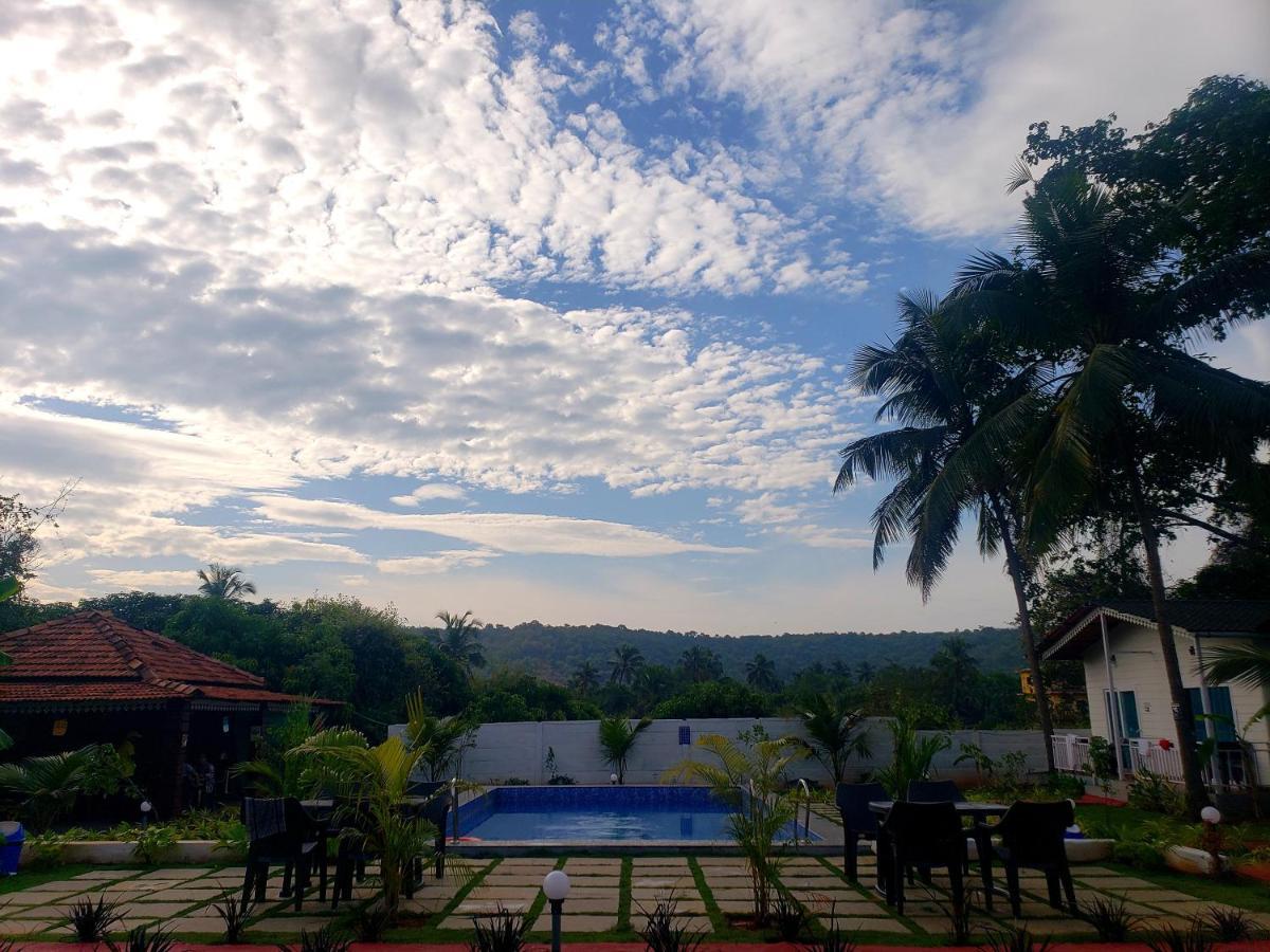 White Truffle Resort, Arambol Eksteriør billede