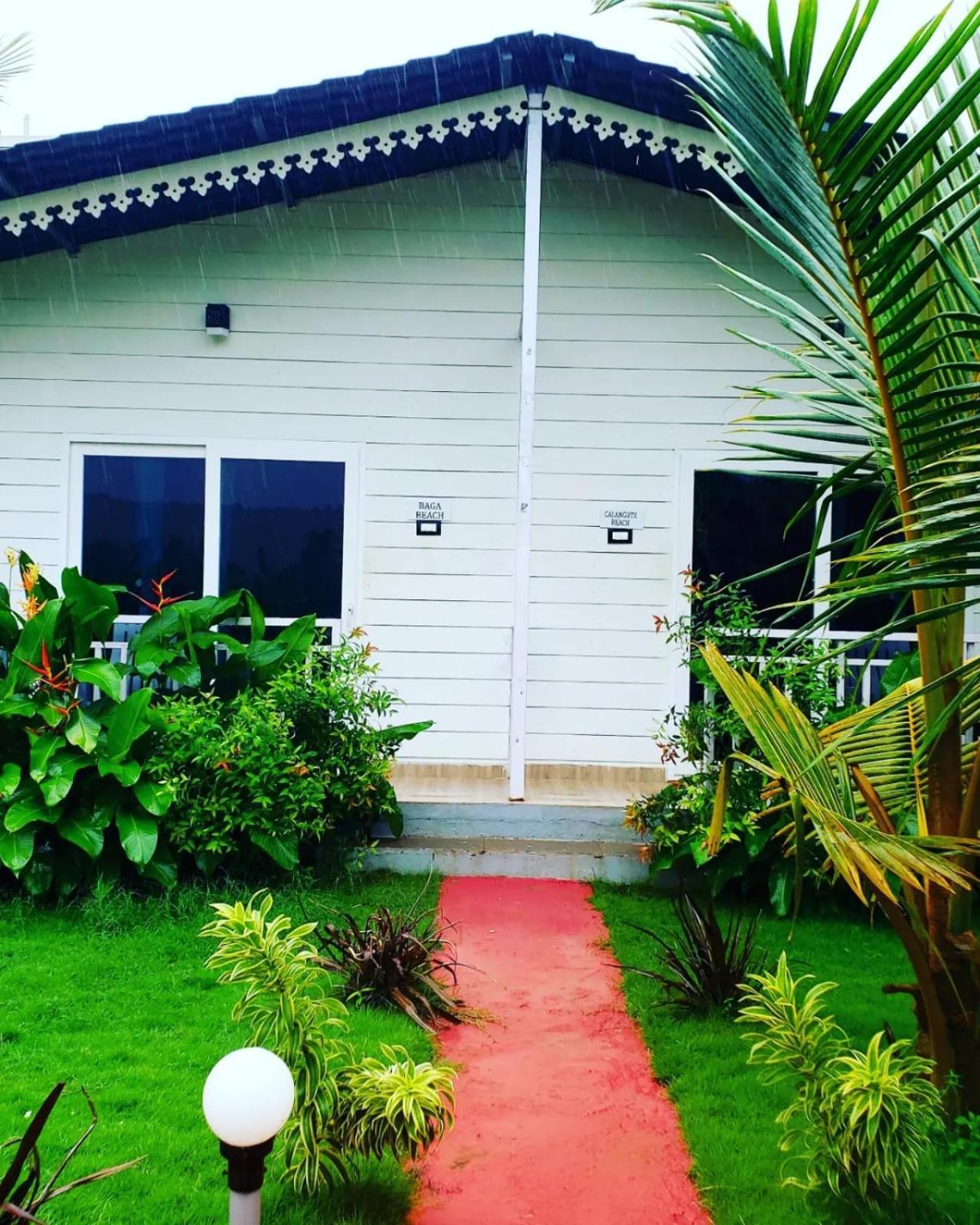 White Truffle Resort, Arambol Eksteriør billede