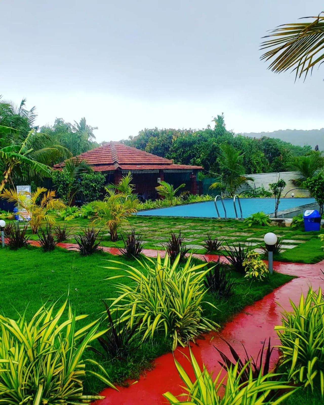 White Truffle Resort, Arambol Eksteriør billede