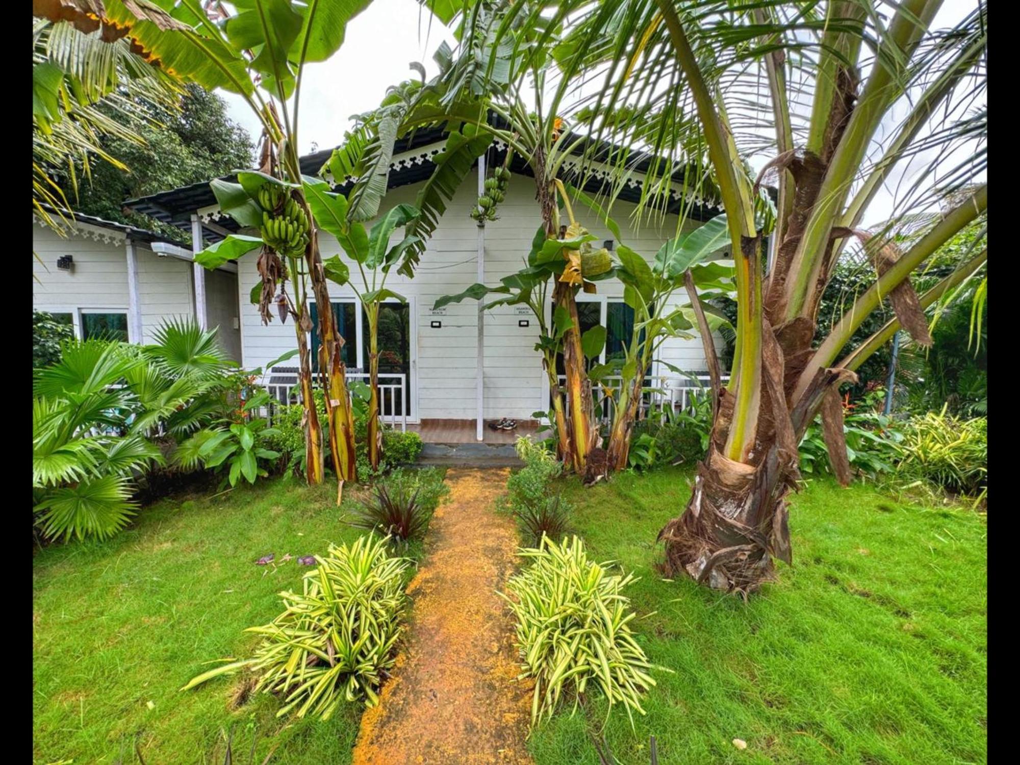 White Truffle Resort, Arambol Eksteriør billede