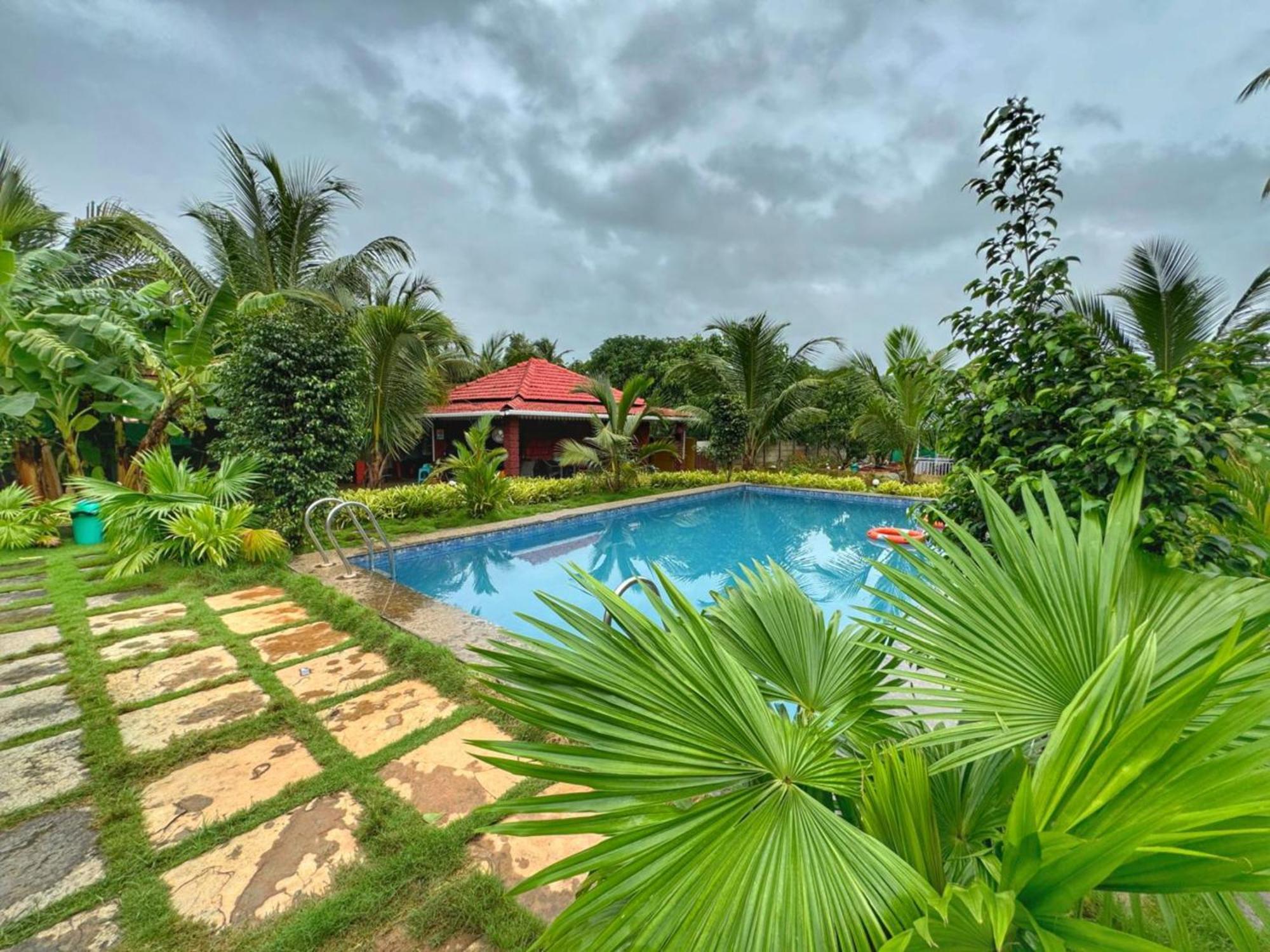White Truffle Resort, Arambol Eksteriør billede