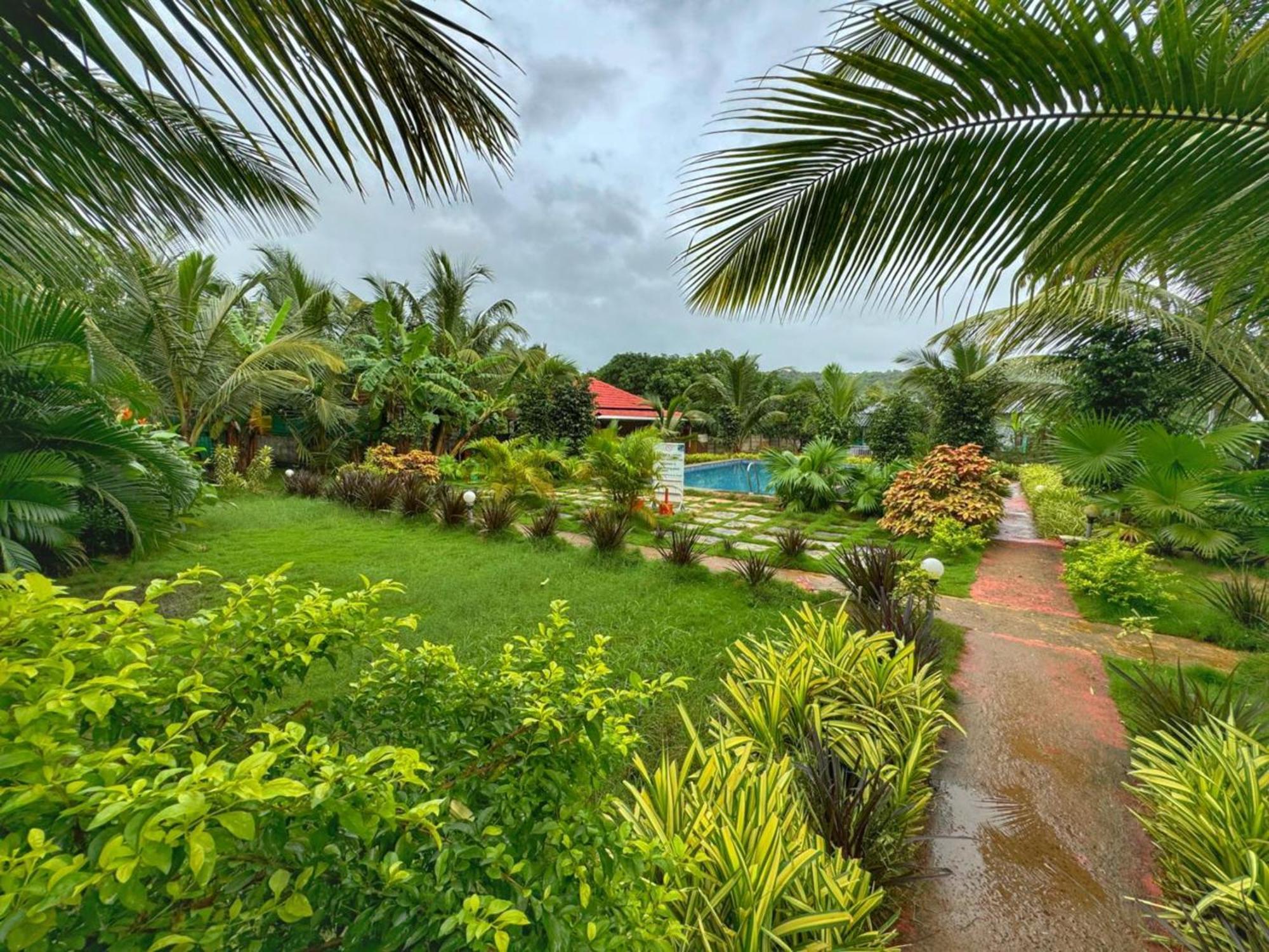 White Truffle Resort, Arambol Eksteriør billede