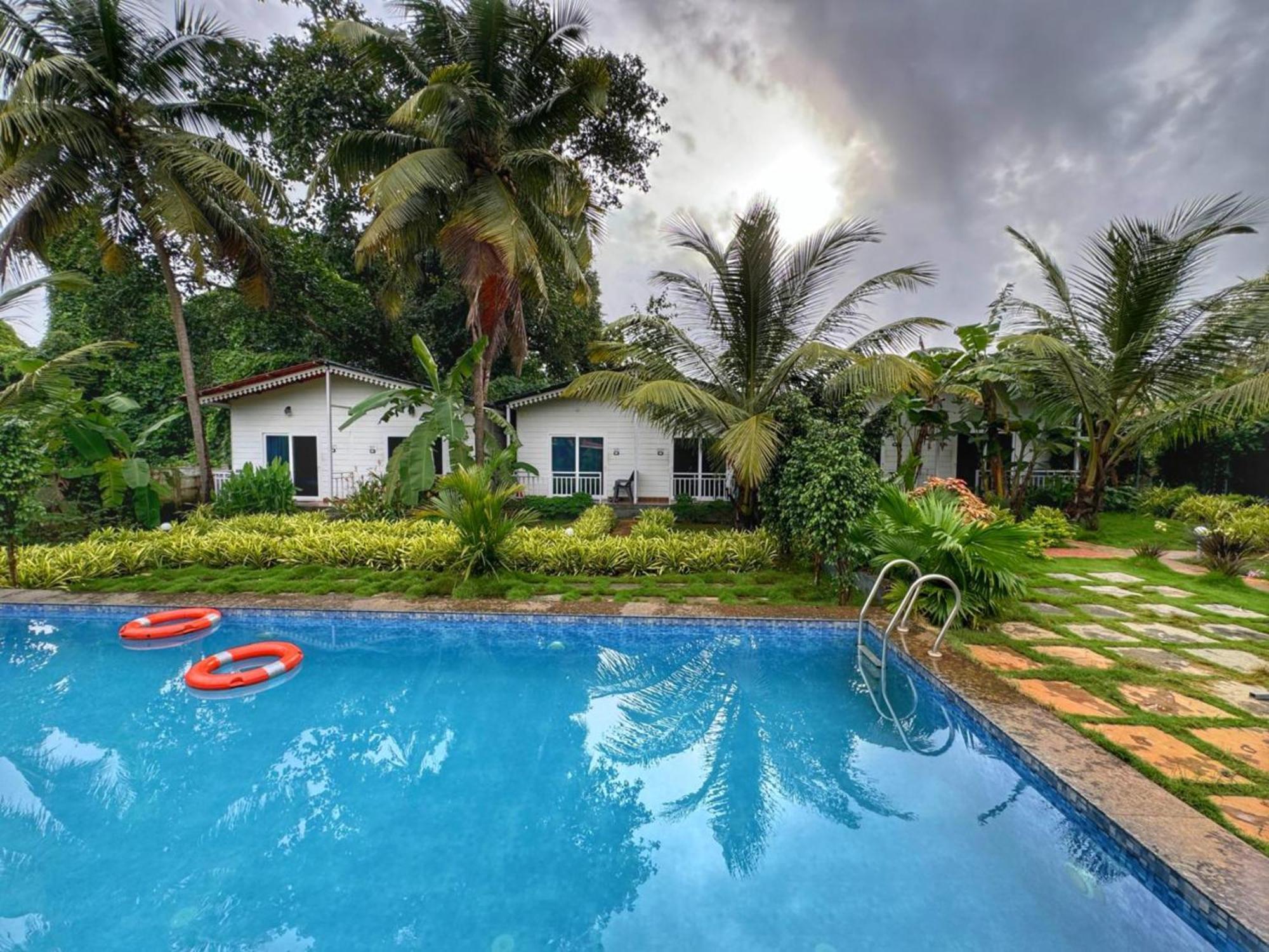 White Truffle Resort, Arambol Eksteriør billede