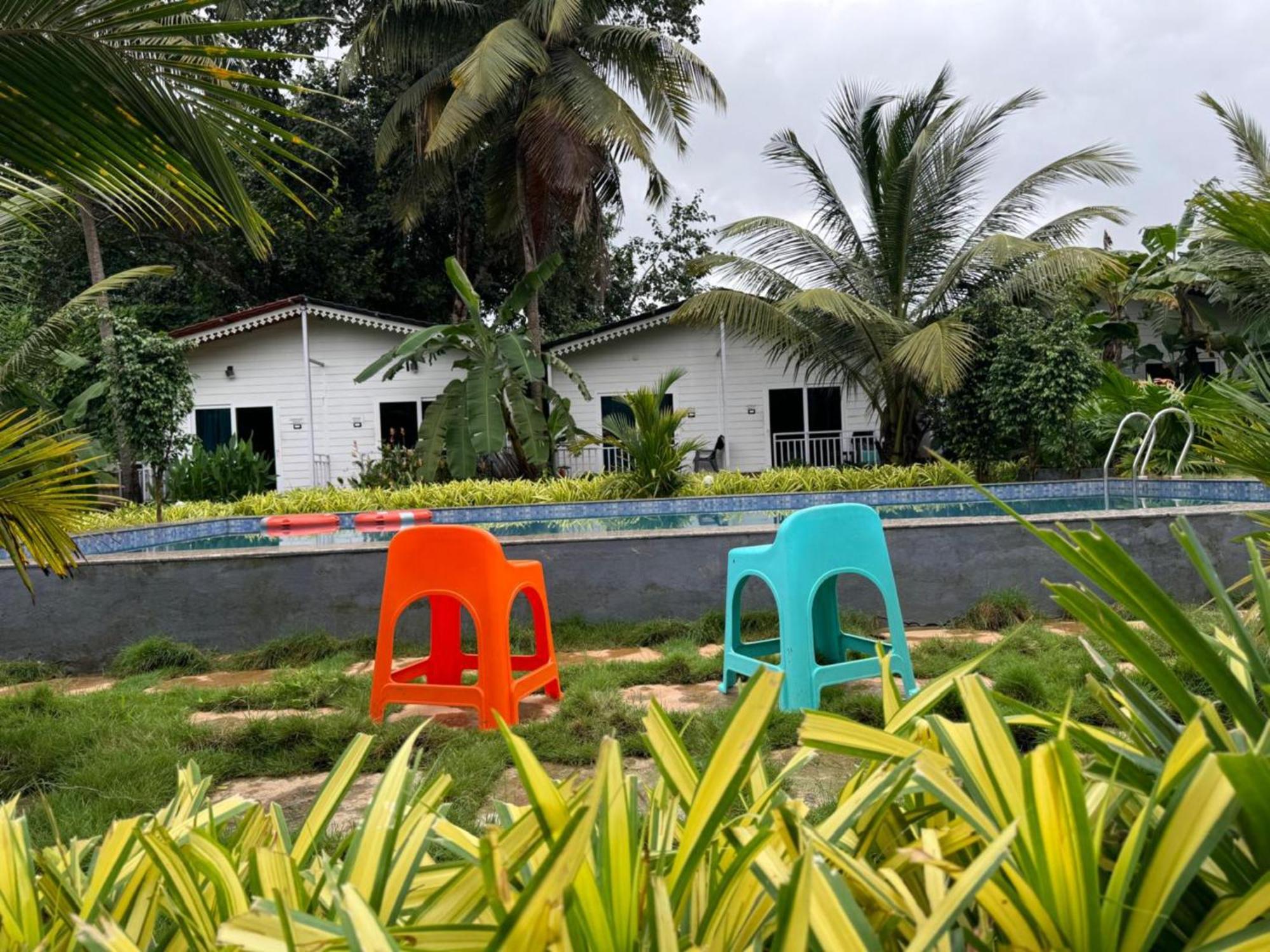 White Truffle Resort, Arambol Eksteriør billede