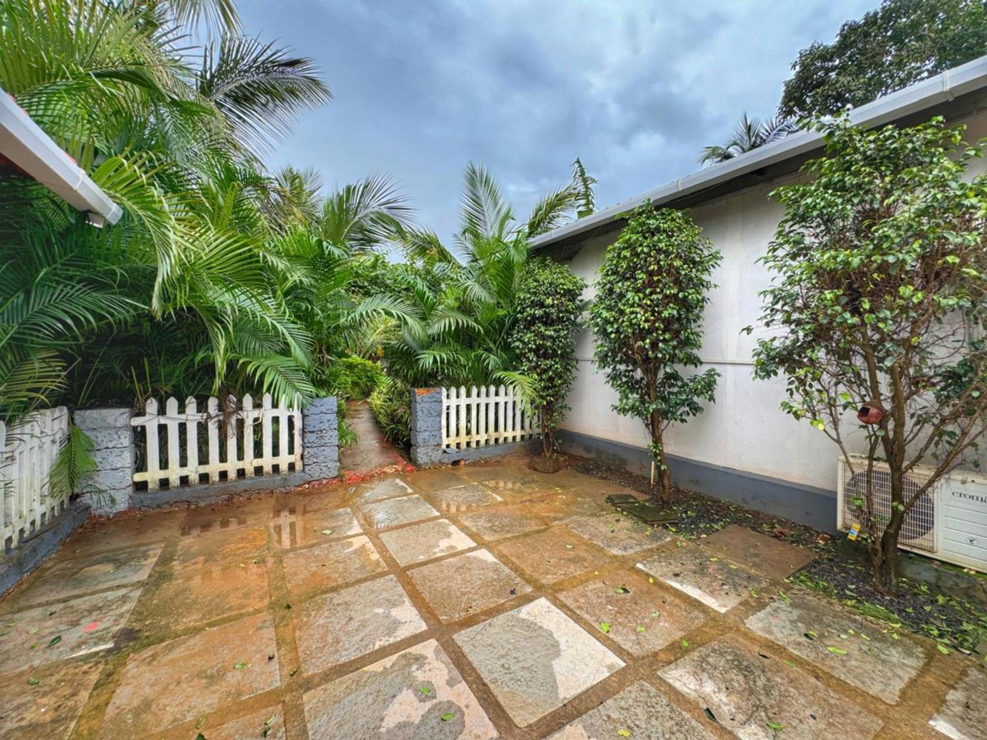 White Truffle Resort, Arambol Eksteriør billede