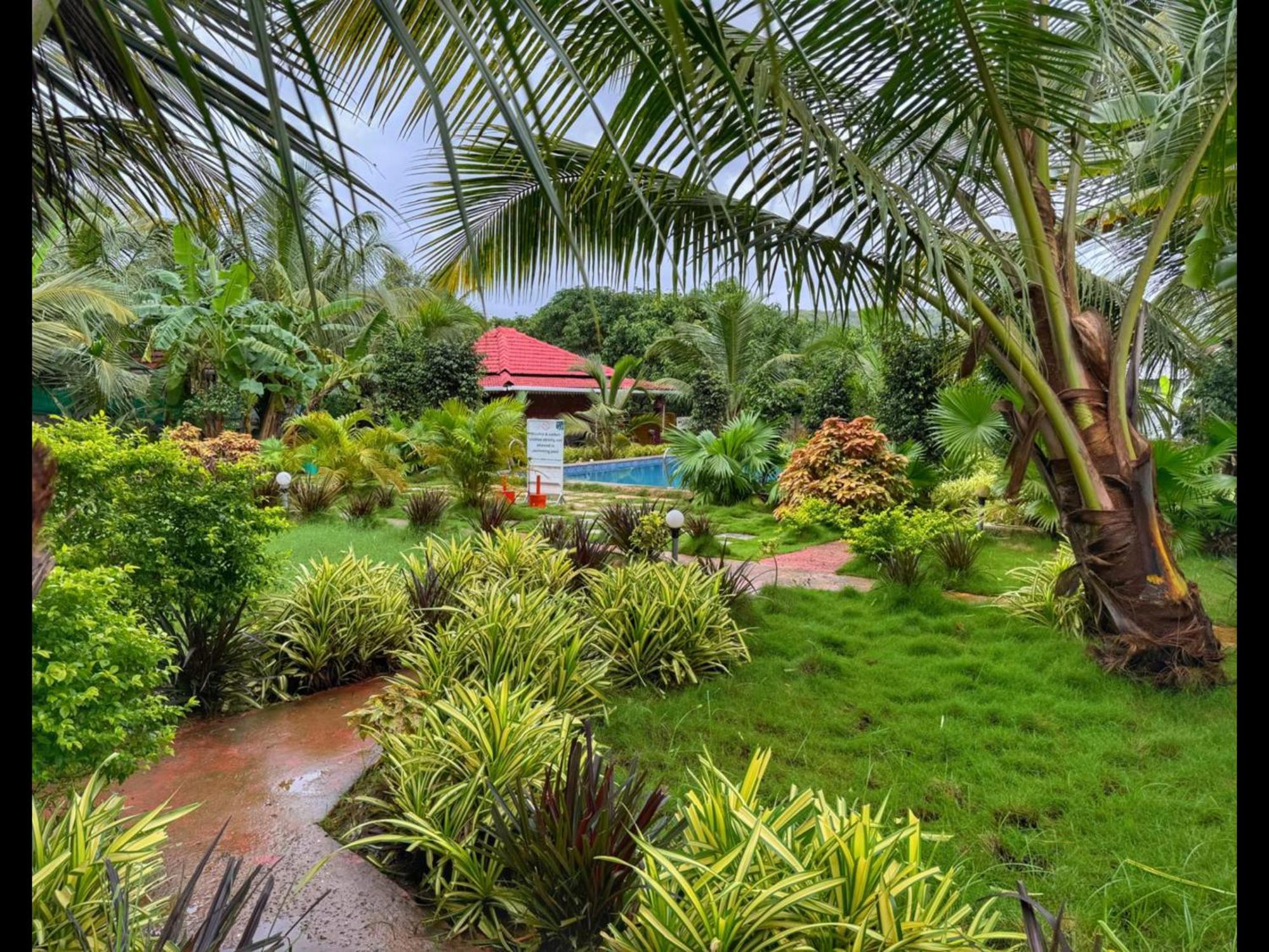 White Truffle Resort, Arambol Eksteriør billede